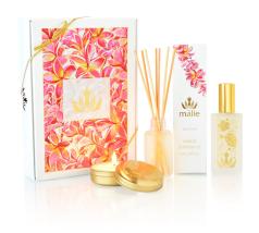 ホームアンビエンスボックス ”Plumeria”