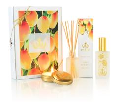 ホームアンビエンスボックス ”Mango Nectar”